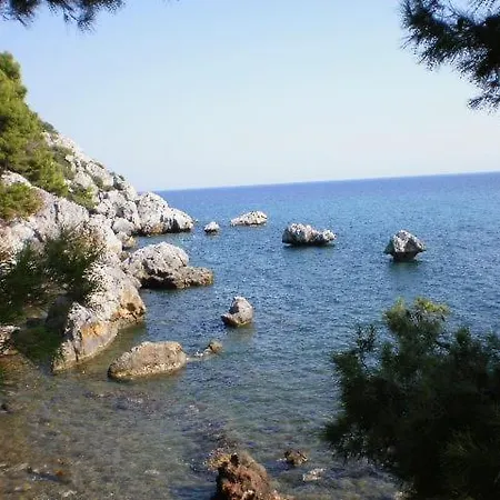 Rosa Agia Paraskevi (Kassandra)
