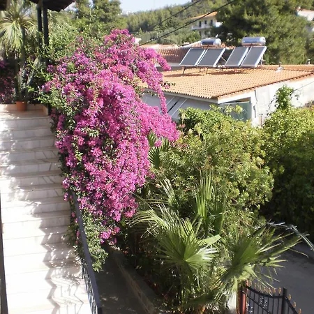 Apartment Rosa *