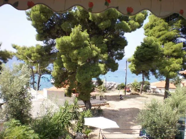 Rosa Daire Aya Paraskevi