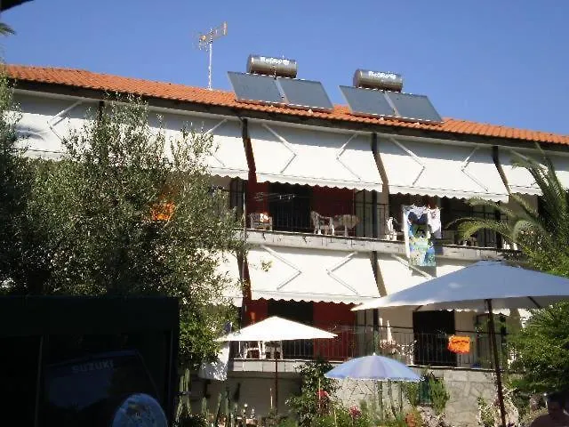 Rosa Daire Aya Paraskevi