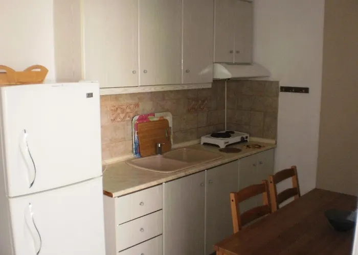 Rosa Daire Aya Paraskevi